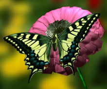 Load image into Gallery viewer, 5d Hotsale Diamond Painting Kit - DIY Custom Kits 127