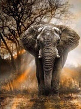 Load image into Gallery viewer, 5d Hotsale Diamond Painting Kit - DIY Custom Kits 386