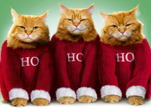 Load image into Gallery viewer, Ho Ho Ho Cat Christmas Diamond Painting Kit - DIY
