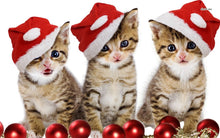 Load image into Gallery viewer, Christmas Cat Diamond Painting Kit - DIY
