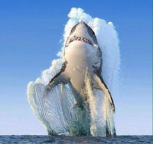 Load image into Gallery viewer, Shark Animals Diamond Painting Kit - DIY
