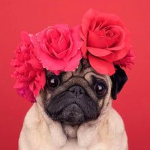 Load image into Gallery viewer, Pug Roses Diamond Painting Kit - DIY
