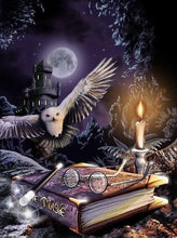 Load image into Gallery viewer, Owl Night Book Diamond Painting Kit - DIY
