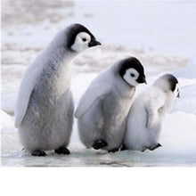 Load image into Gallery viewer, Three Lovely Penguins Diamond Painting Kit - DIY
