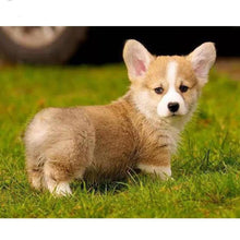 Load image into Gallery viewer, Corgi Dog Diamond Painting Kit - DIY
