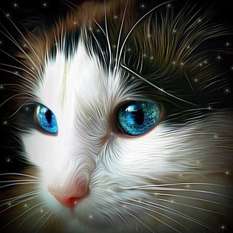 Cat Head Portrait Diamond Painting Kit - DIY
