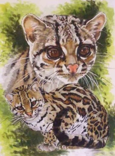 5d Hotsale Diamond Painting Kit - DIY Custom Kits  116