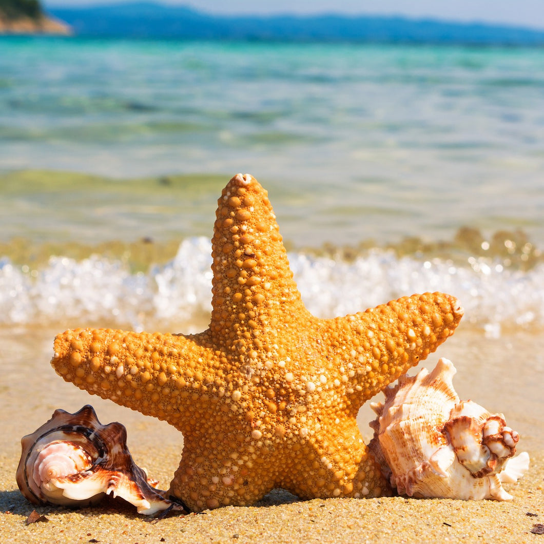 5d Hotsale Diamond Painting Kit - DIY Custom Kits  135