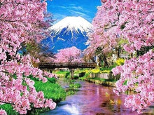 Load image into Gallery viewer, 5d Hotsale Diamond Painting Kit - DIY Custom Kits  186
