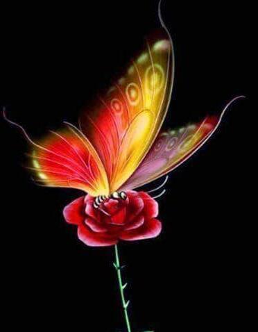 5d Hotsale Diamond Painting Kit - DIY Custom Kits  206