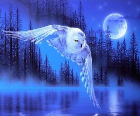 5d Hotsale Diamond Painting Kit - DIY Custom Kits  25