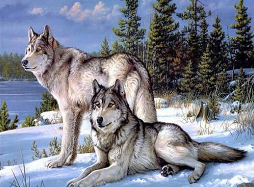 5d Hotsale Diamond Painting Kit - DIY Custom Kits  324