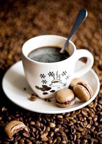 5d Hotsale Diamond Painting Kit - DIY Custom Kits  365