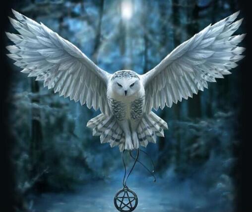 5d Hotsale Diamond Painting Kit - DIY Custom Kits  381