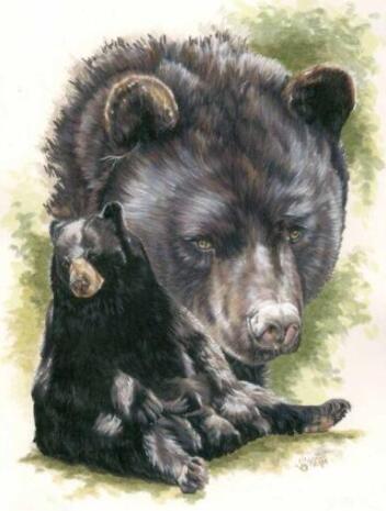 5d Hotsale Diamond Painting Kit - DIY Custom Kits  94