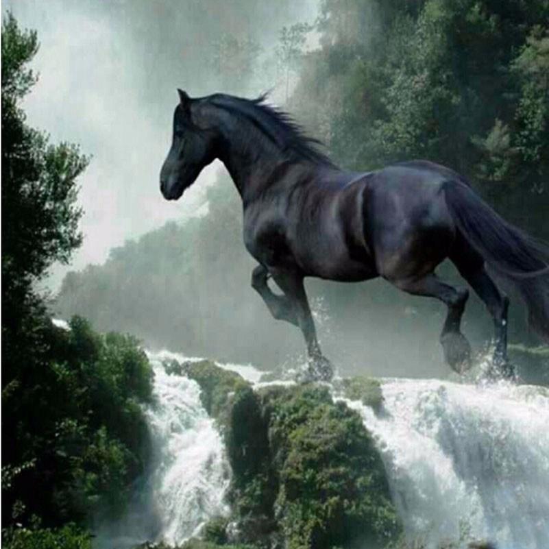 Horse Waterfall Diamond Painting Kit - DIY