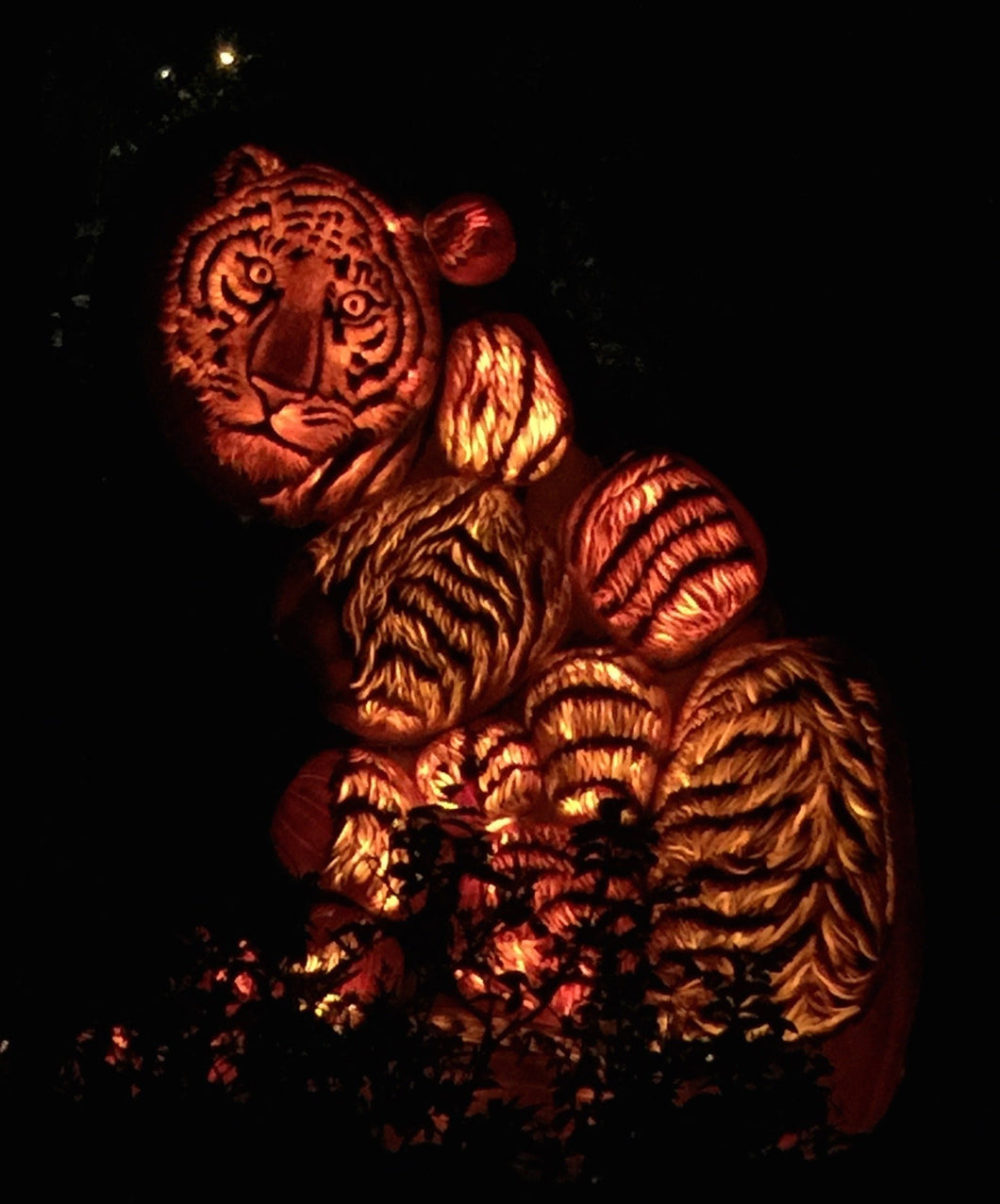 Tiger Lights Diamond Painting Kit - DIY