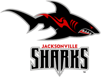 Load image into Gallery viewer, Sharks Jacksonville Diamond Painting Kit - DIY
