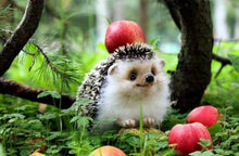 Load image into Gallery viewer, Cute Hedgehog Forest Apple Tree Diamond Painting Kit - DIY
