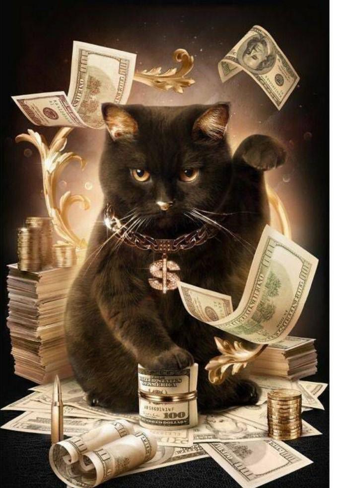 5d Cat Diamond Painting Kit Premium-11