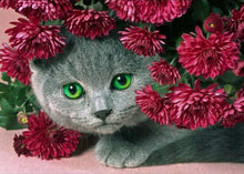 Load image into Gallery viewer, 5d Cat Diamond Painting Kit Premium-17
