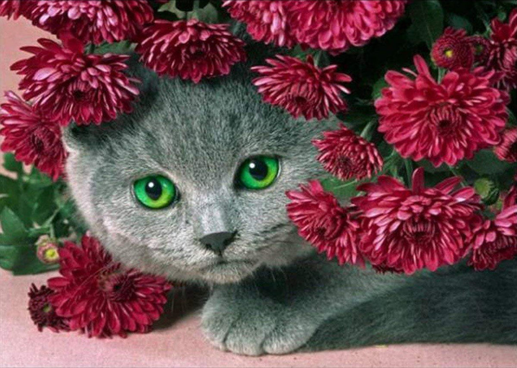 5d Cat Diamond Painting Kit Premium-17