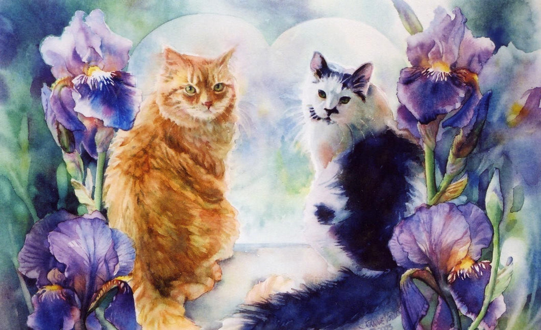 5d Cat Diamond Painting Kit Premium-42