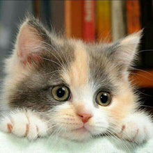 Load image into Gallery viewer, 5d Cat Diamond Painting Kit Premium-5
