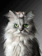 Load image into Gallery viewer, 5d Cat Diamond Painting Kit Premium-67
