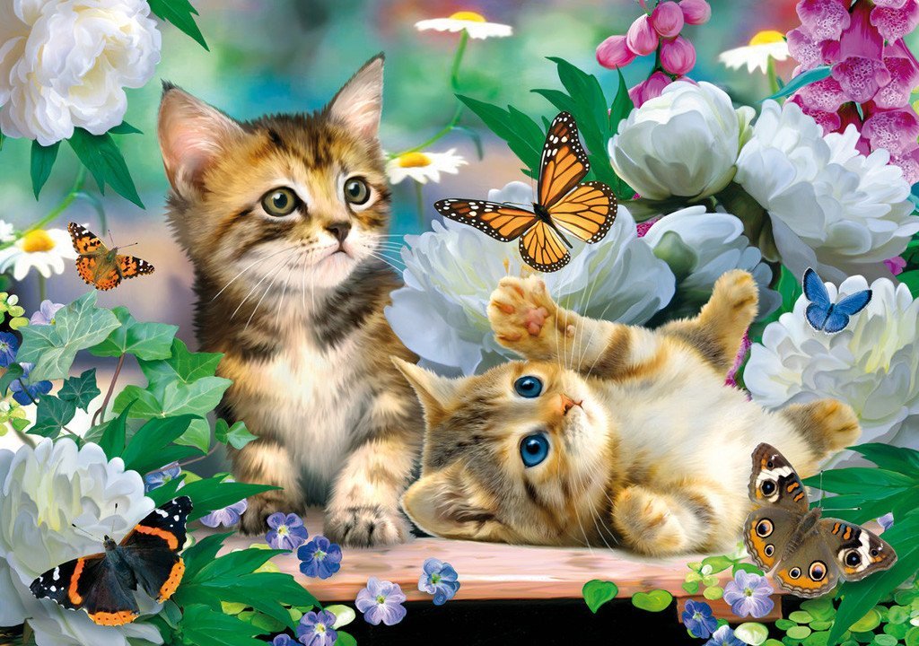 5d Cat Diamond Painting Kit Premium-80