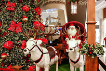 Load image into Gallery viewer, Christmas Diamond Painting Kit 5D - DIY Season 2-75
