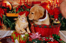 Load image into Gallery viewer, Christmas Diamond Painting Kit 5D - DIY Season 2-82
