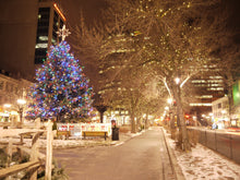 Load image into Gallery viewer, Christmas Diamond Painting Kit 5D - DIY Season 2-84
