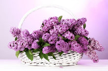 Load image into Gallery viewer, Flower Diamond Painting Kit - DIY Flower-22
