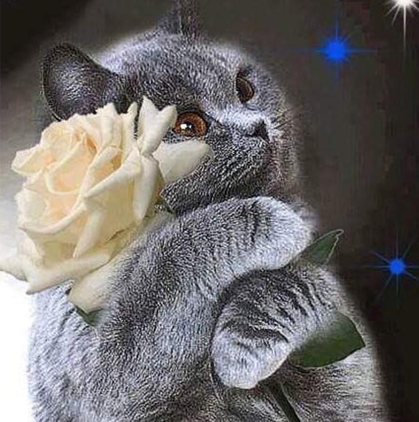 Flower Diamond Painting Kit - DIY Flower-68