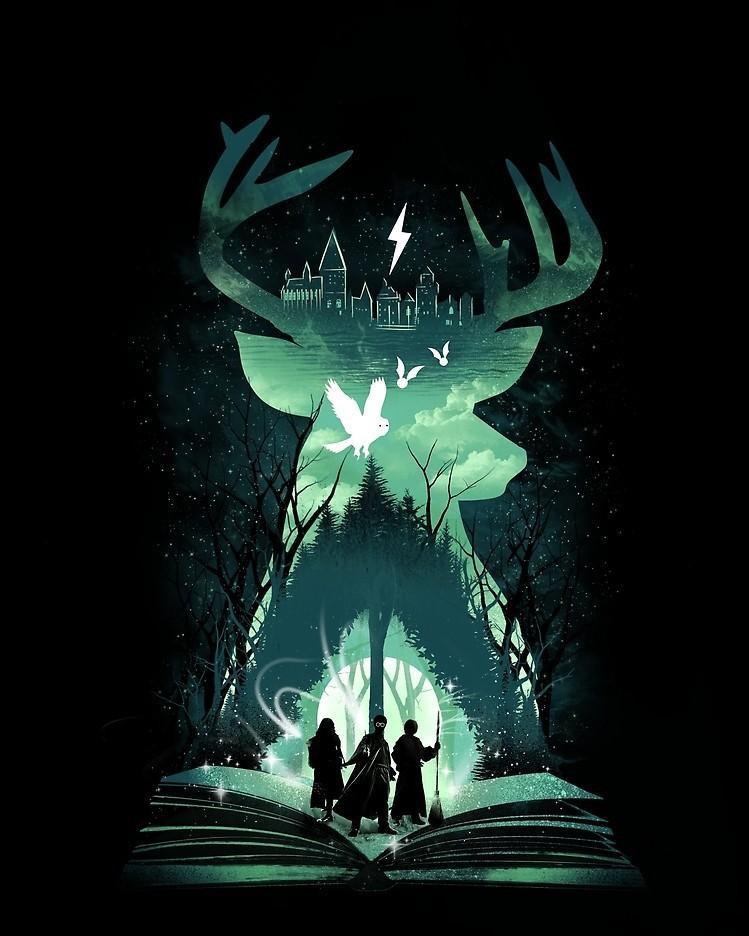 5d Harry Potter Diamond Painting Kit Premium-14