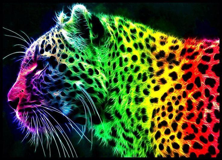Jaguar Colors Diamond Painting Kit - DIY