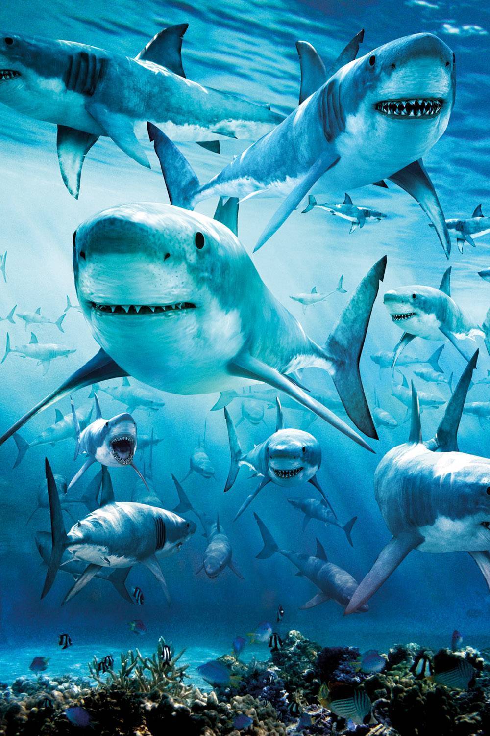 Sharks Animal Diamond Painting Kit - DIY
