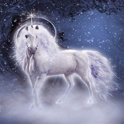 Unicorn Diamond Painting Kit - DIY Unicorn-12