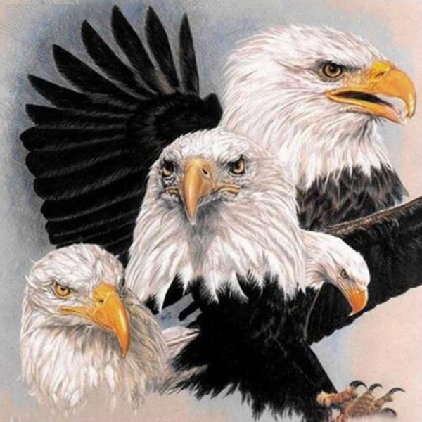 Eagle And Eagle Diamond Painting Kit - DIY