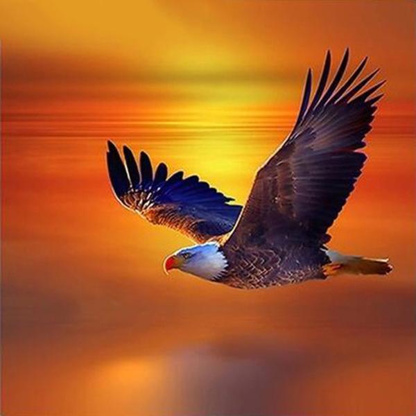 Eagle Orange Sunset Diamond Painting Kit - DIY