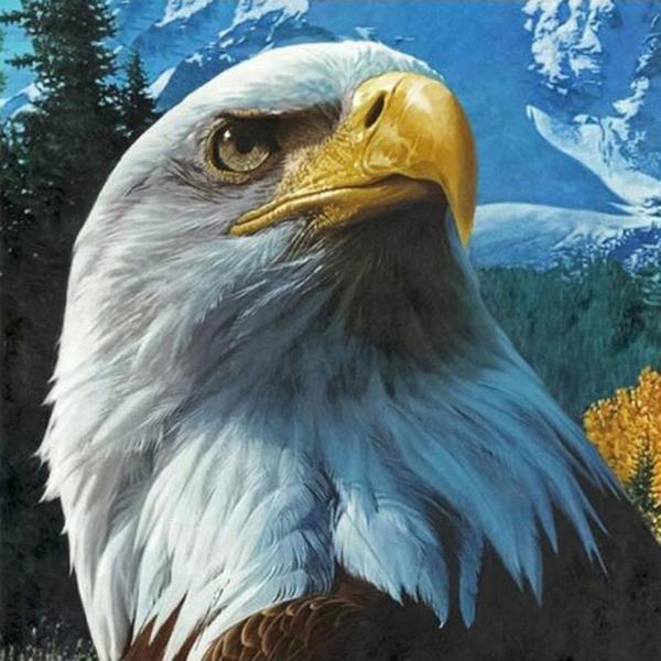 Eagle Seeing Diamond Painting Kit - DIY