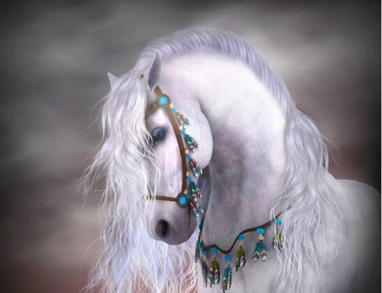 Horse White Night Diamond Painting Kit - DIY